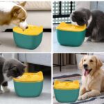 Fontaine À Eau Pour Chat et Chien