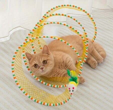 Jouet Tunnel de Printemps pour Chat